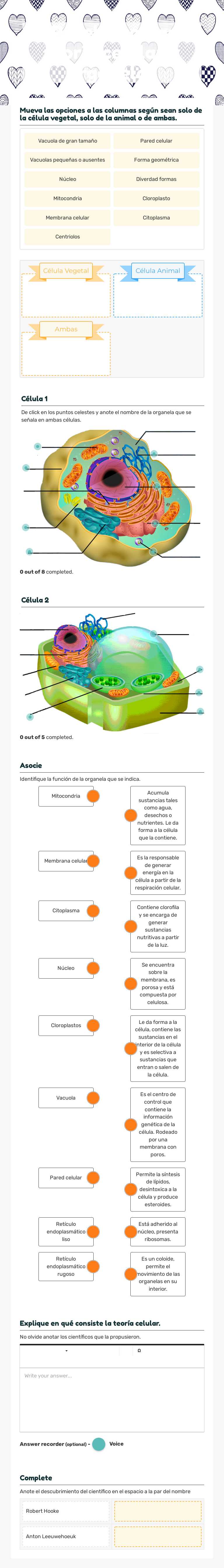Prueba corta: teoría celular y organelas Grade 8 worksheet preview