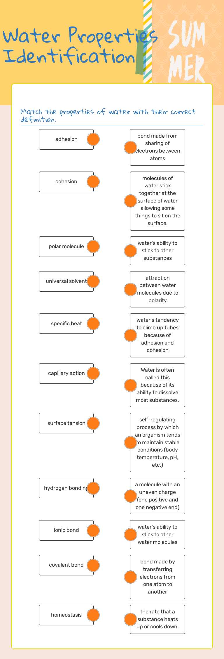 Water Properties Identification worksheet preview image