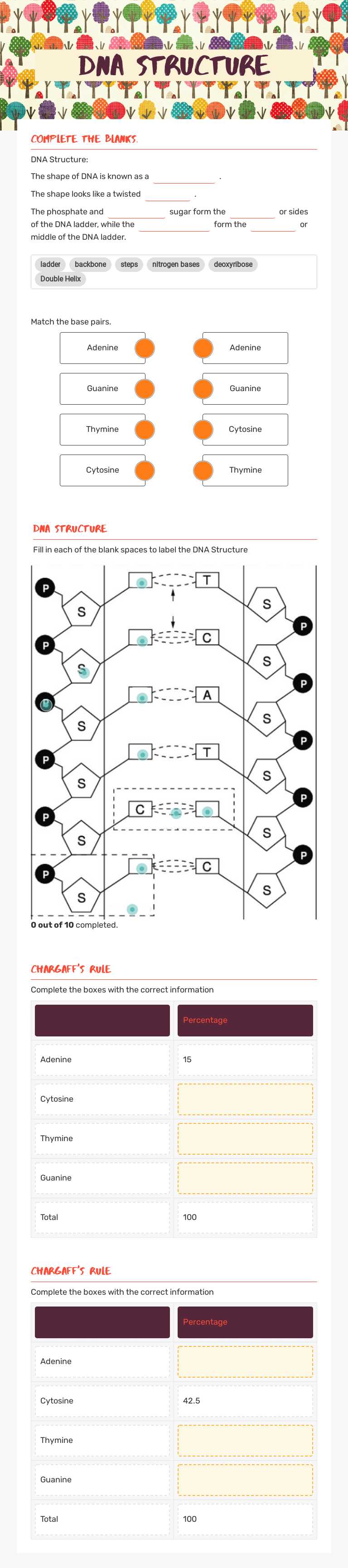 DNA Structure worksheet preview image