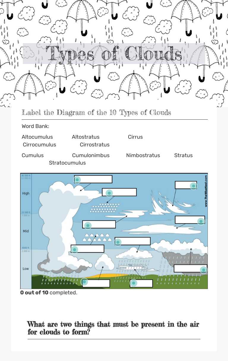 Types of Clouds worksheet preview image