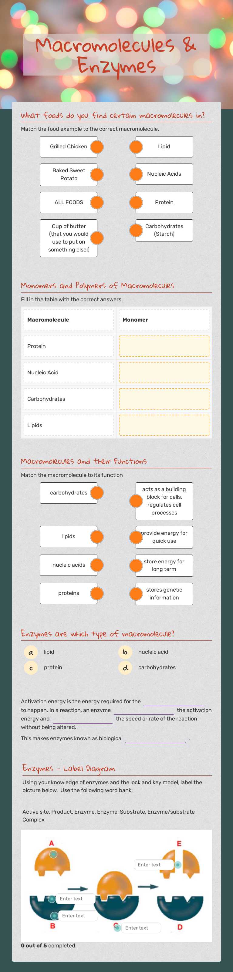 Macromolecules & Enzymes worksheet preview image