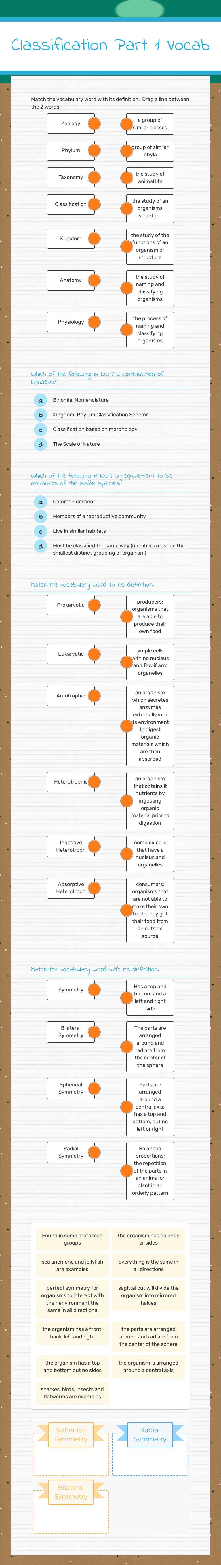 Classification Part 1 Vocab worksheet preview image