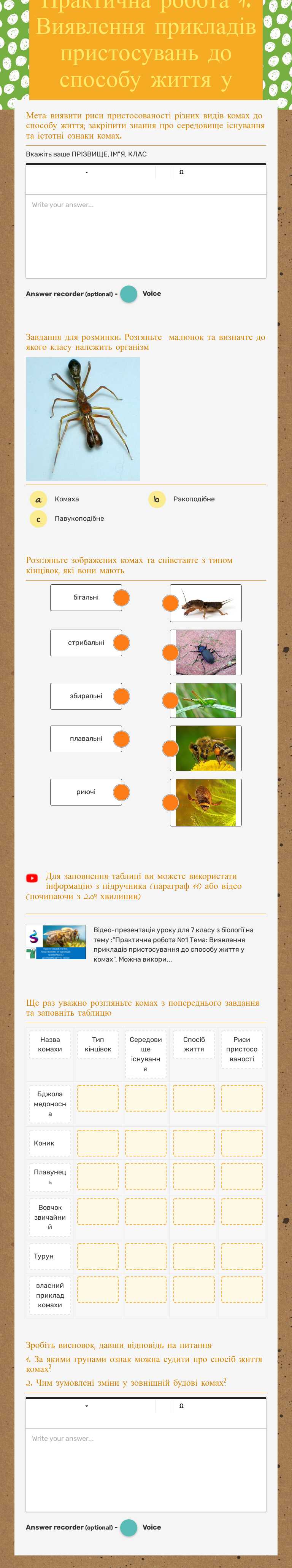 Практична робота 1. Виявлення прикладів пристосувань до способу життя у комах worksheet preview image