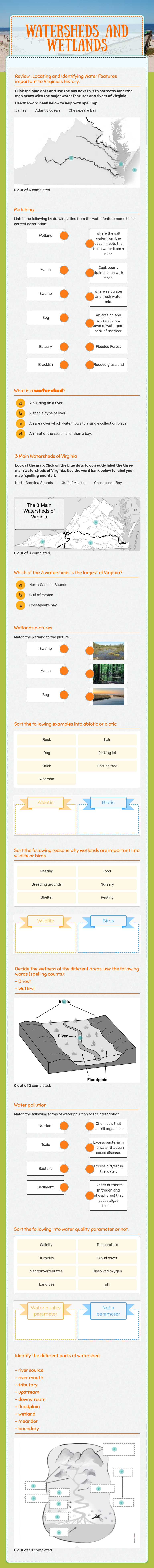watersheds and wetlands worksheet preview image