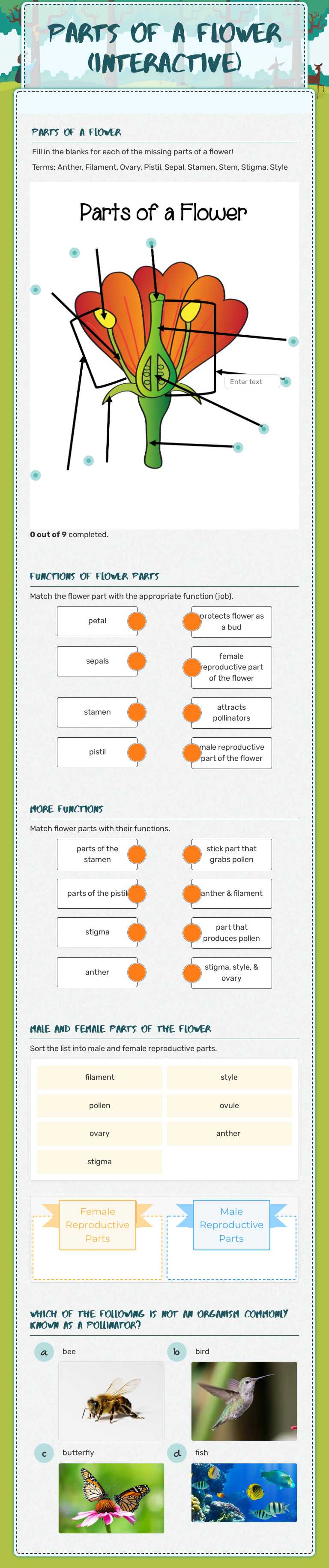 Parts of a flower (Interactive) worksheet preview image