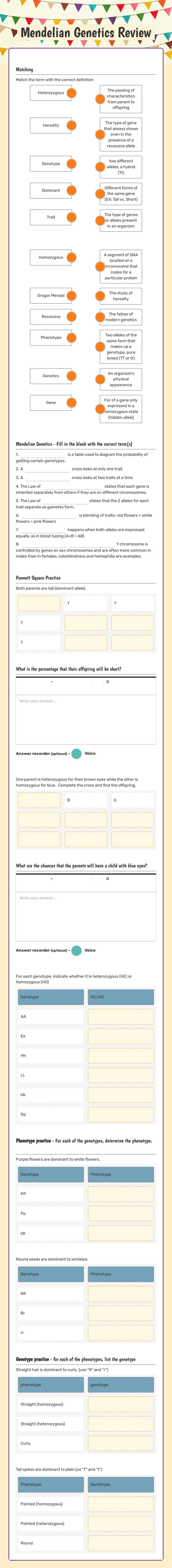 Mendelian Genetics Review worksheet preview image