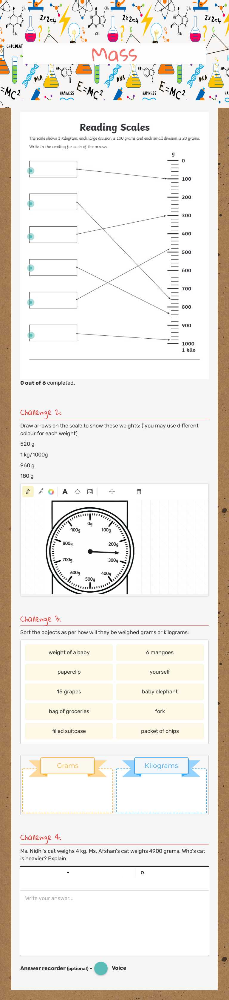 Mass worksheet preview image
