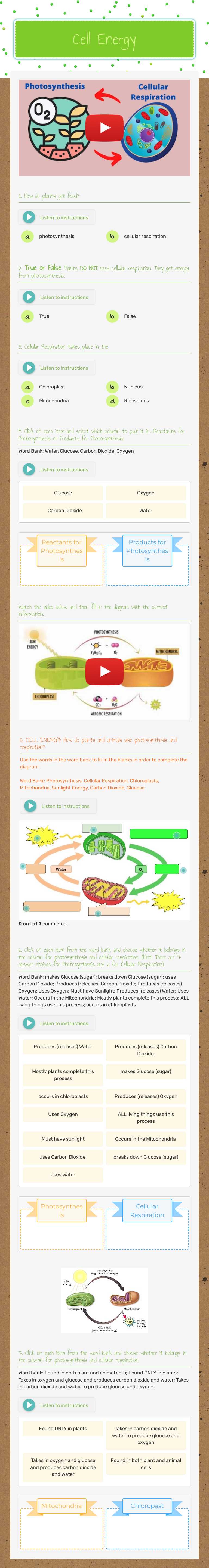 Cell Energy worksheet preview image