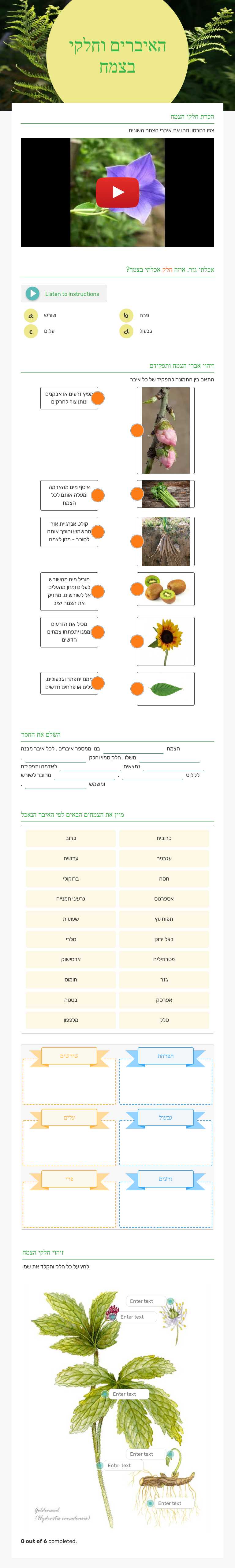 האיברים וחלקי בצמח Grade 3 worksheet preview