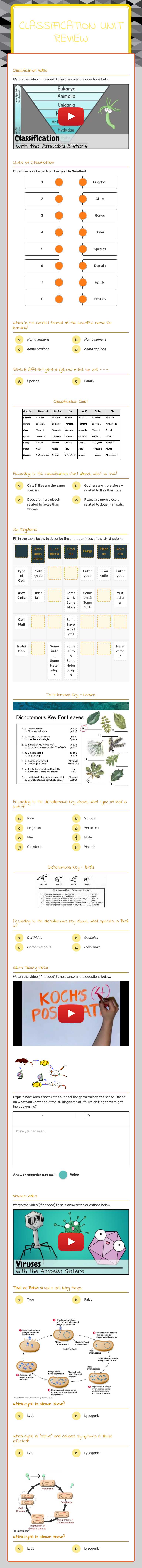 Classification Unit Review worksheet preview