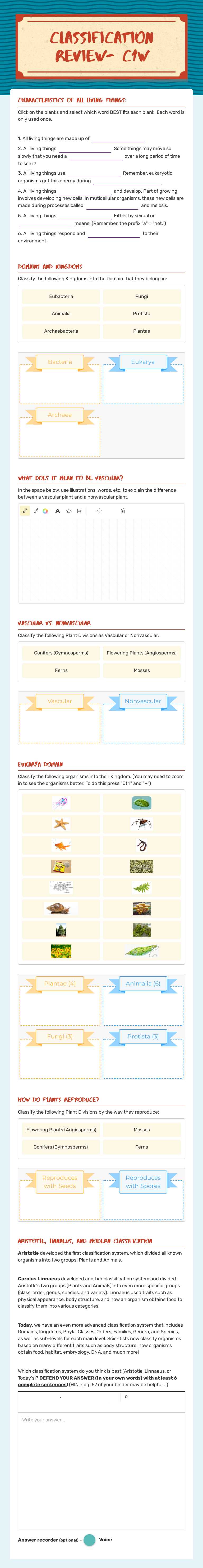 Classification Review- C1W worksheet preview image