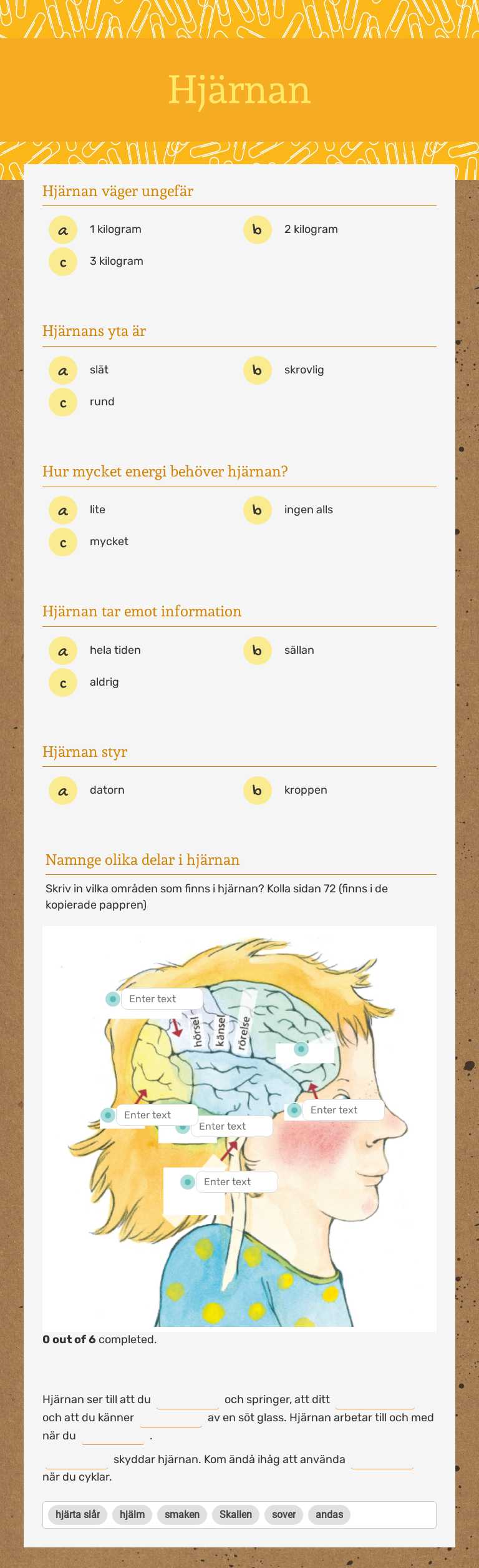Hjärnan worksheet preview image