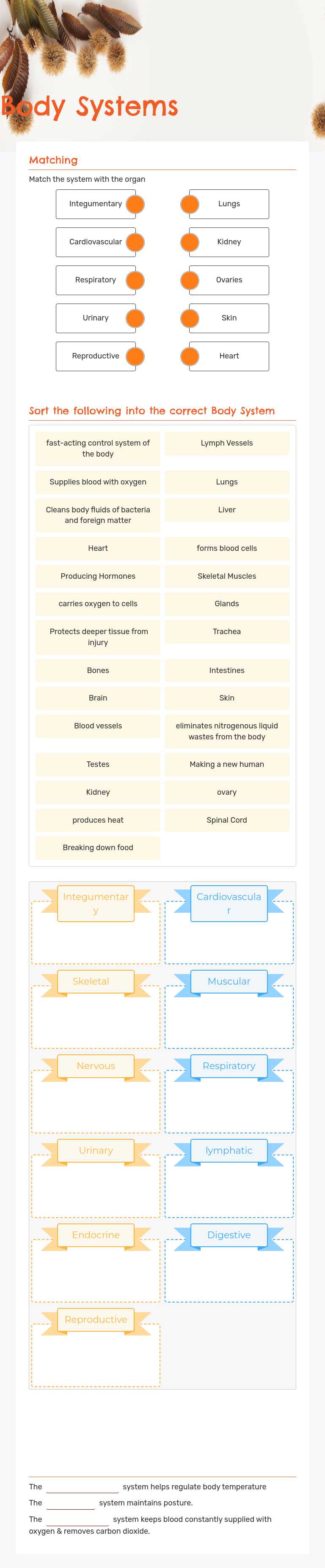 Body Systems worksheet preview image