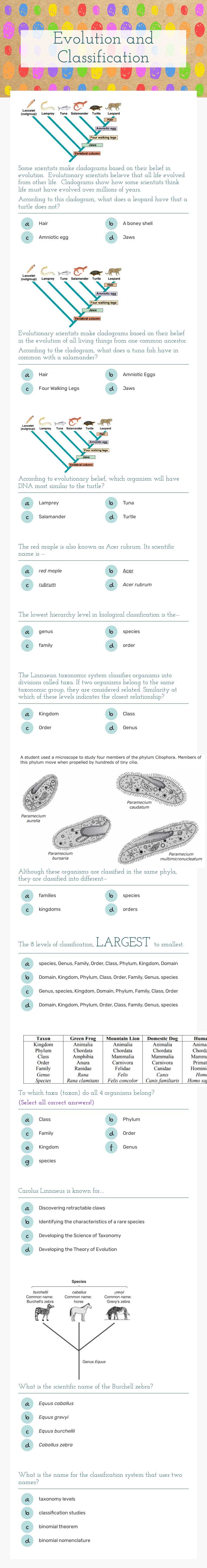 Evolution and Classification worksheet preview image