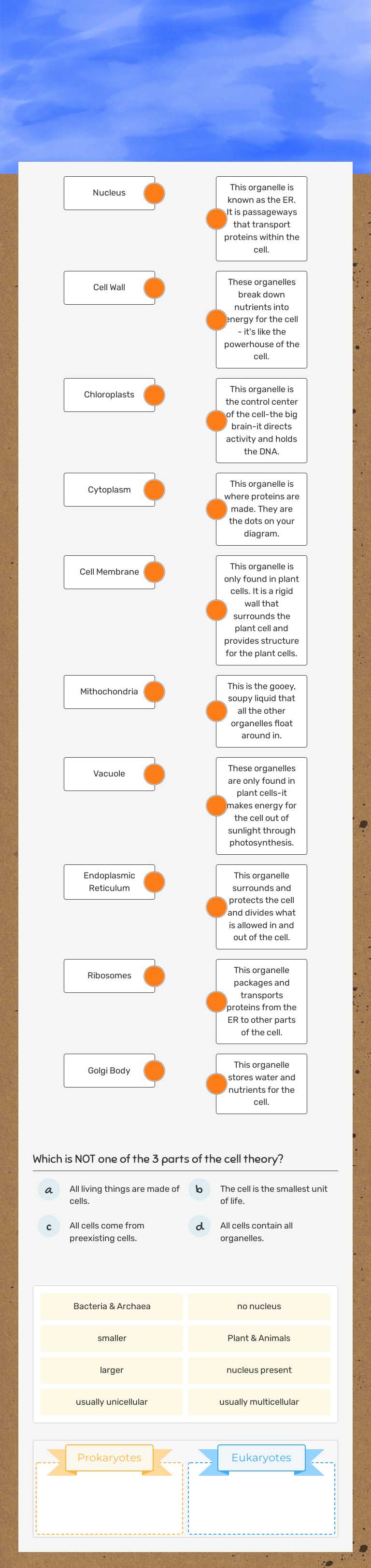 Chapter 2 Lesson 2 Organelles and Review Grade 7 worksheet preview