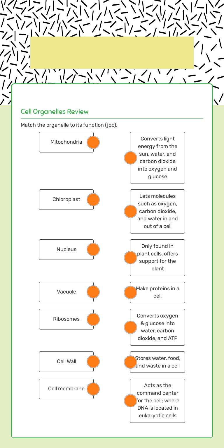 Organelle  function worksheet preview image
