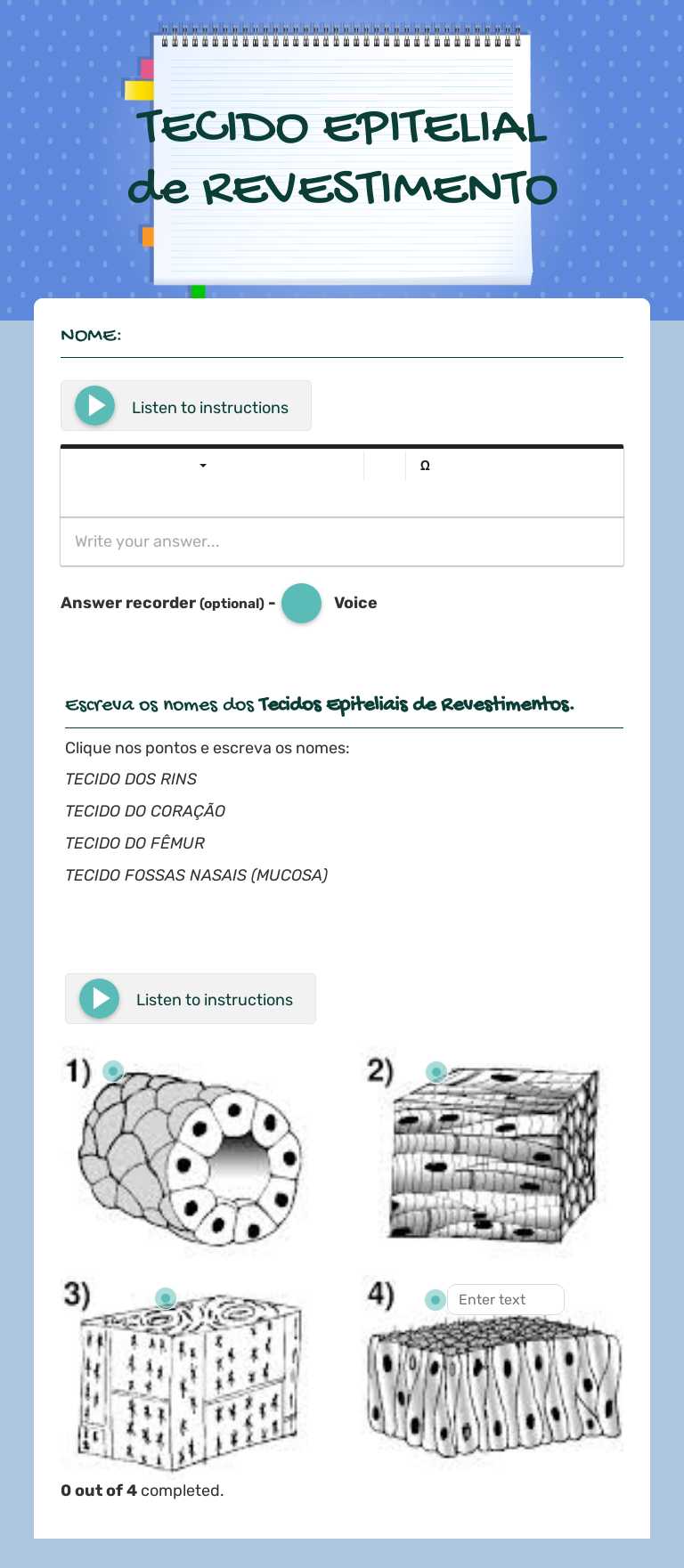 TECIDO EPITELIAL de REVESTIMENTO worksheet preview image