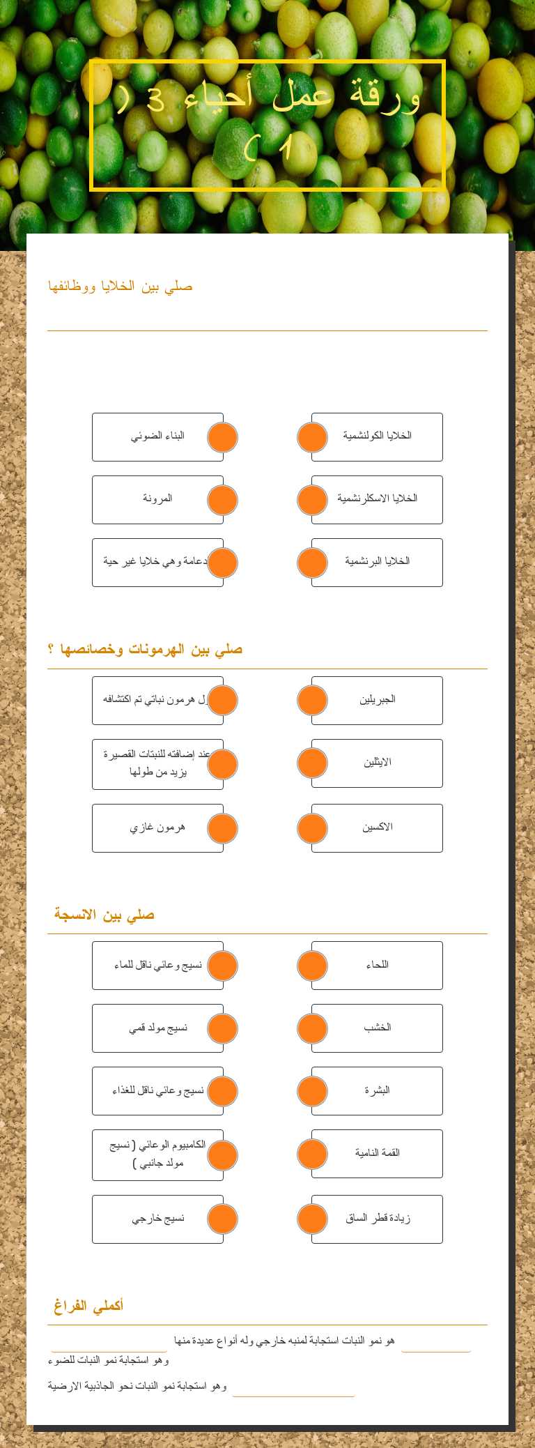 ورقة عمل أحياء 3  ( 1 ) Grade 3 worksheet preview