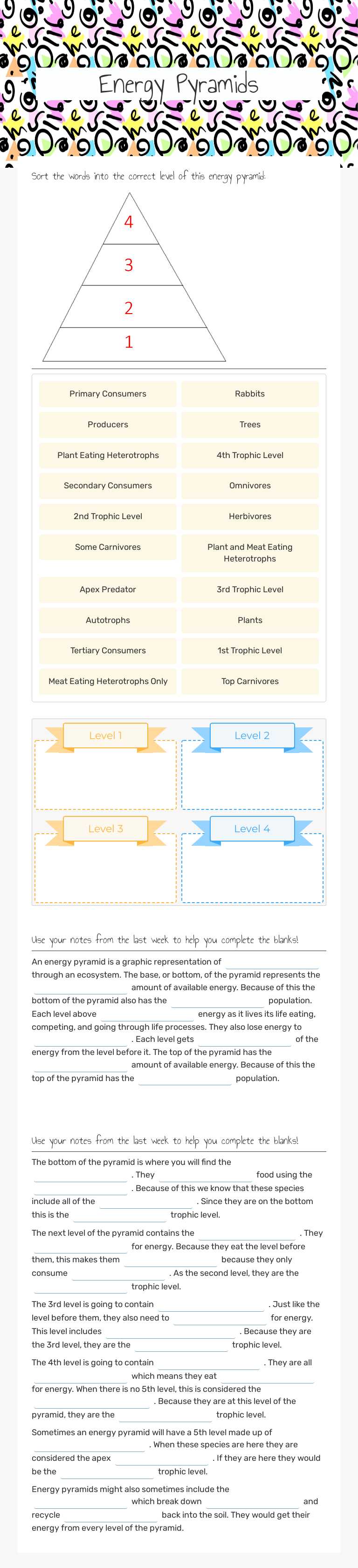 Energy Pyramids worksheet preview image