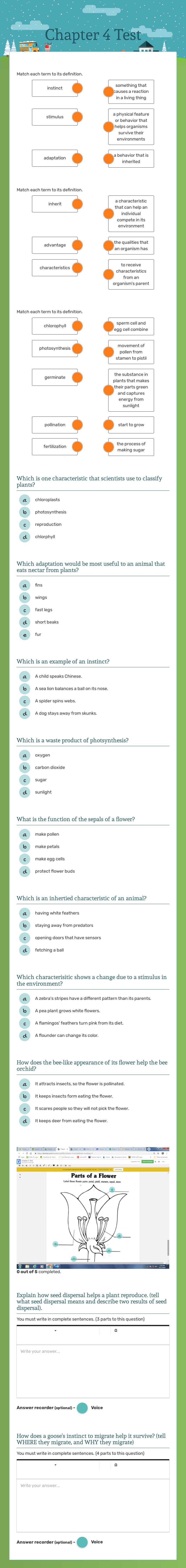 Chapter 4 Test Grade 4 worksheet preview