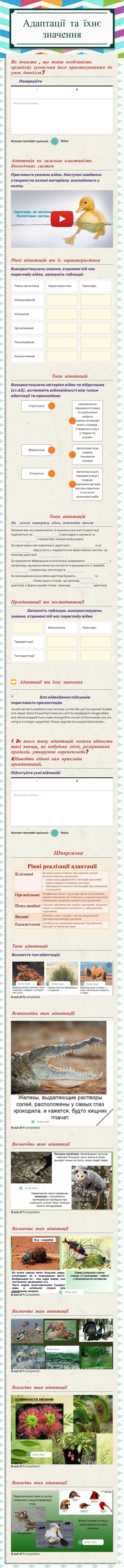 Адаптації та їхнє значення Grade 11 worksheet preview