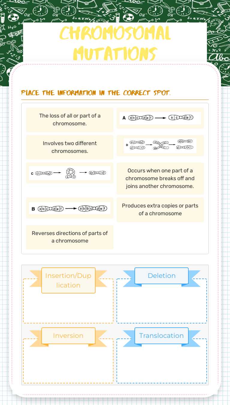 Chromosomal Mutations Grade 10 worksheet preview