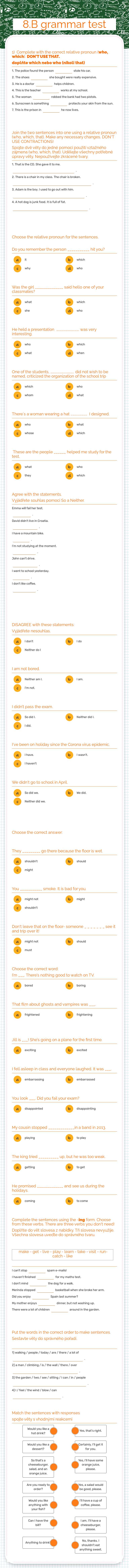8.B
grammar test worksheet preview image