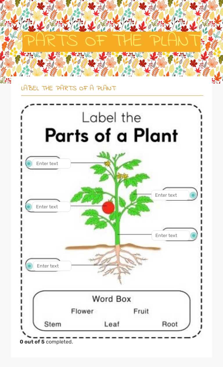PARTS OF THE PLANT worksheet preview image