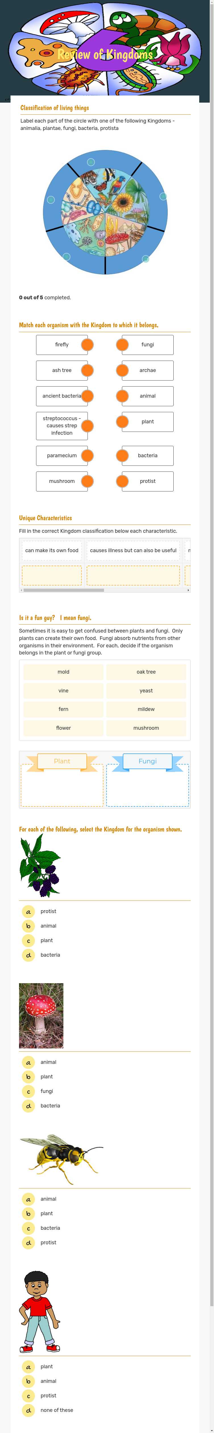 Review of Kingdoms worksheet preview image
