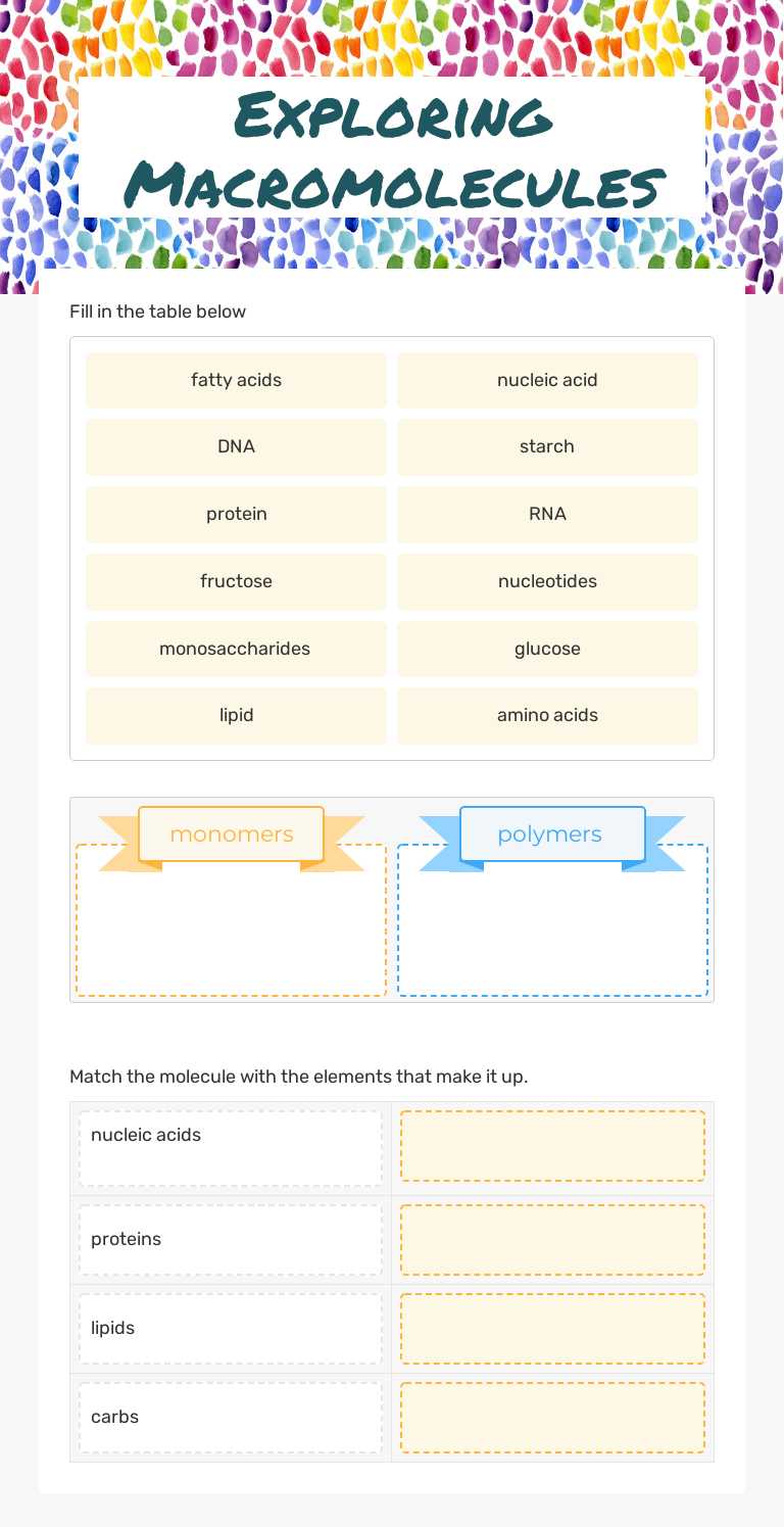 Exploring Macromolecules Grade 10 worksheet preview