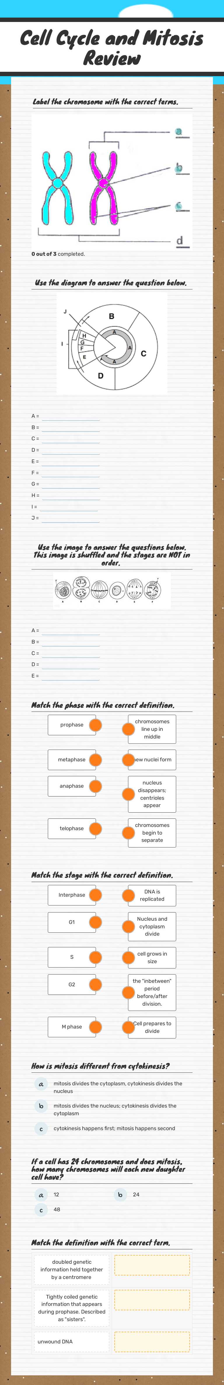 Cell Cycle and Mitosis Review worksheet preview image
