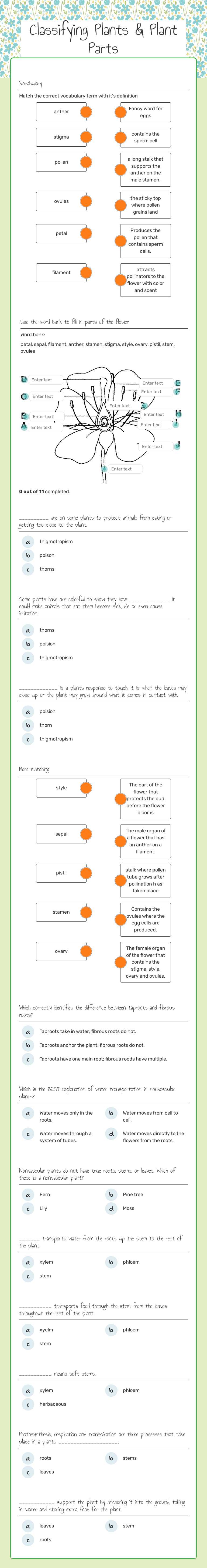 Classifying Plants & Plant Parts worksheet preview image