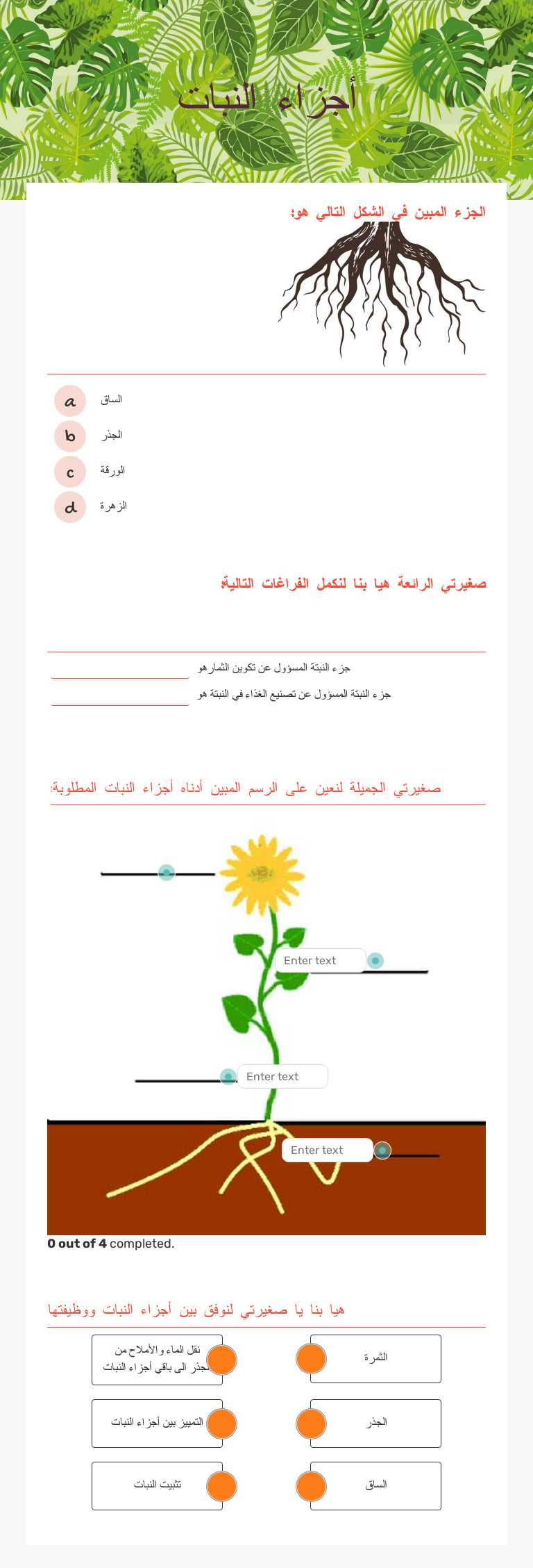 أجزاء النبات Grade 3 worksheet preview