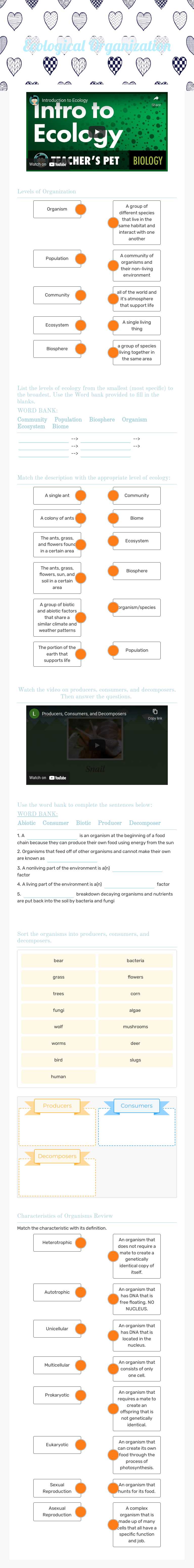 Ecological Organization worksheet preview image