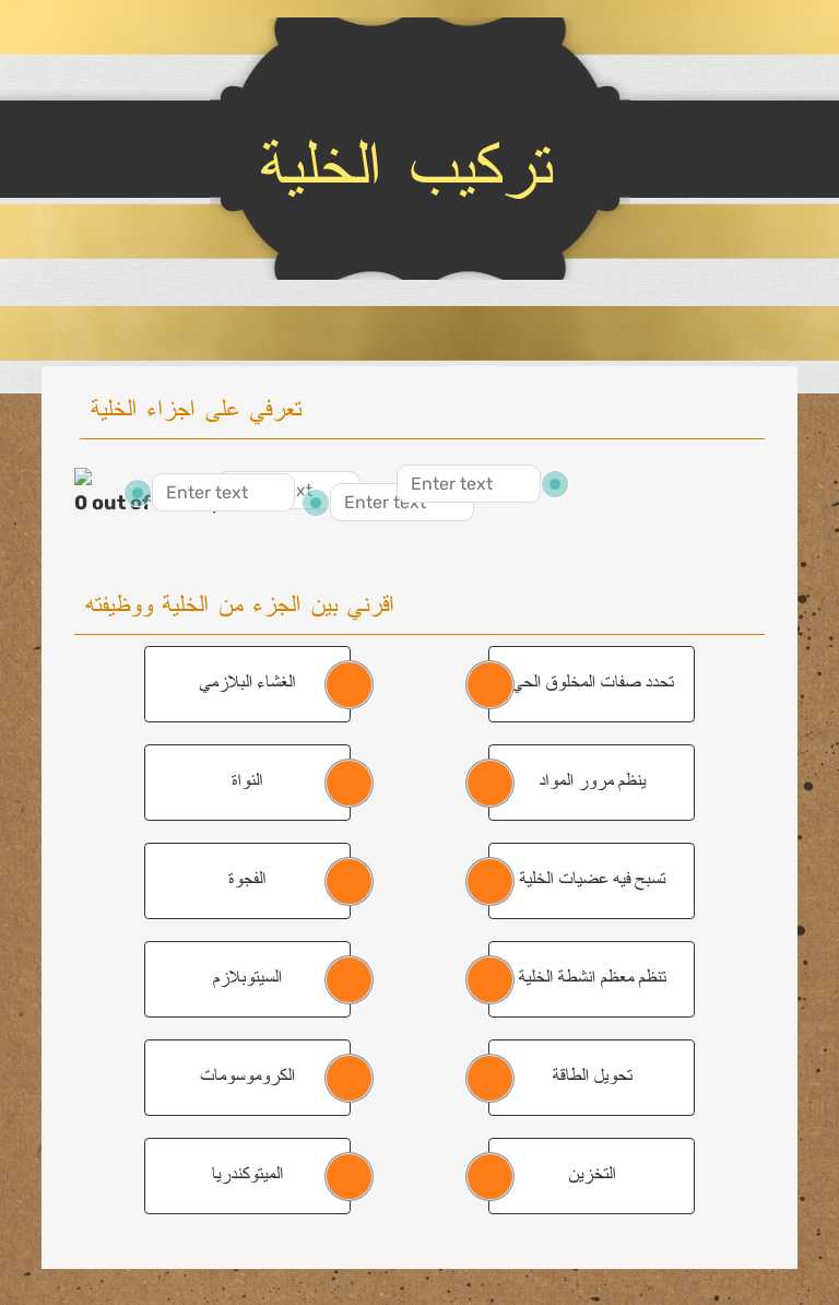 تركيب الخلية worksheet preview image