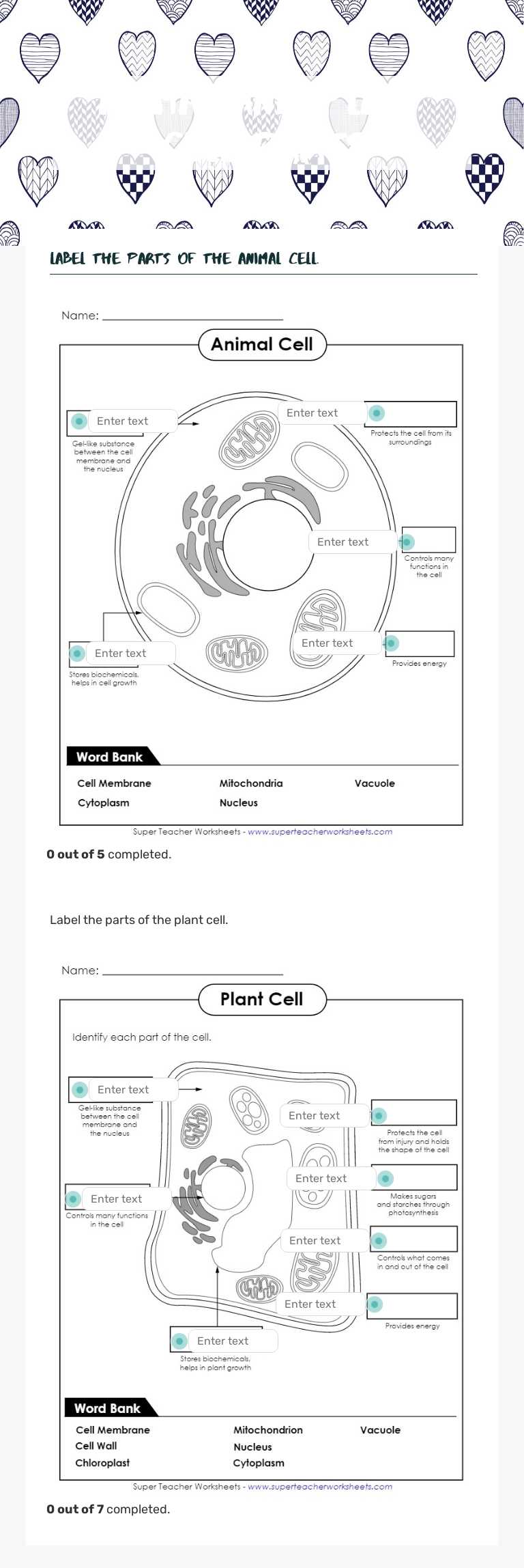 Animal and plant Cell Parts worksheet preview image