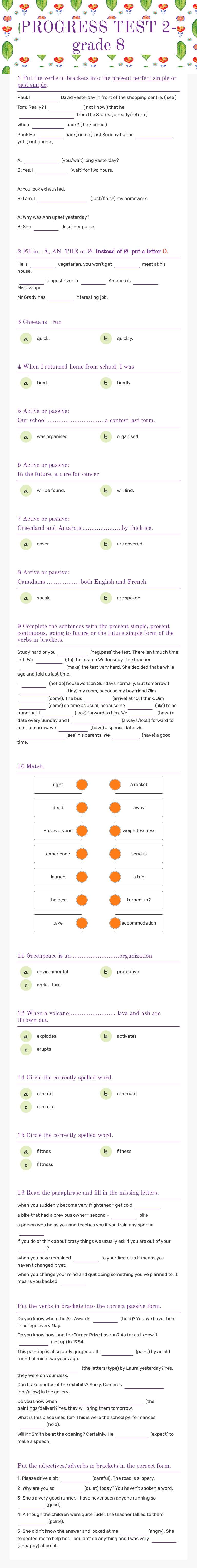 PROGRESS TEST 2- grade 8 worksheet preview image