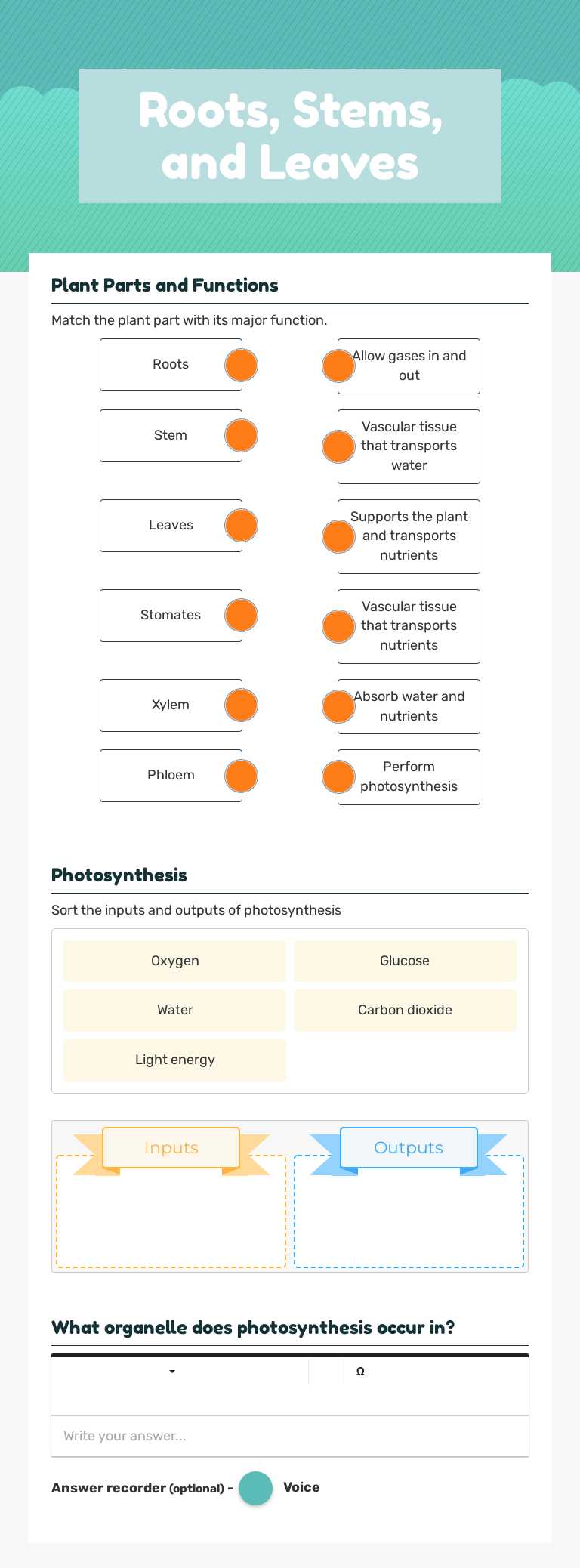 Roots, Stems, and Leaves Grade 10 worksheet preview