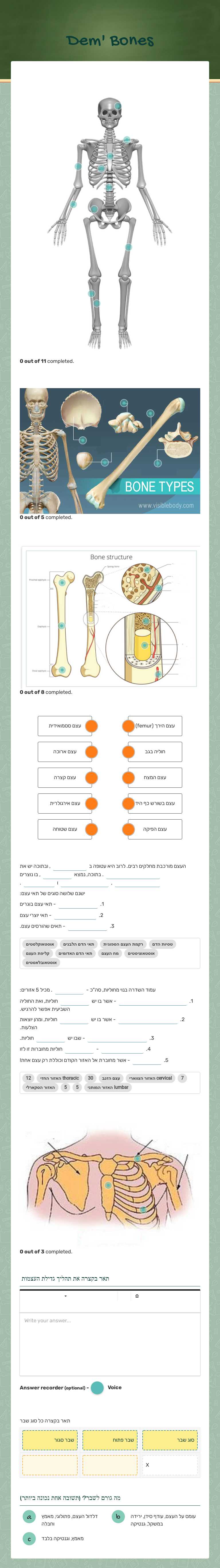 Dem' Bones worksheet preview image