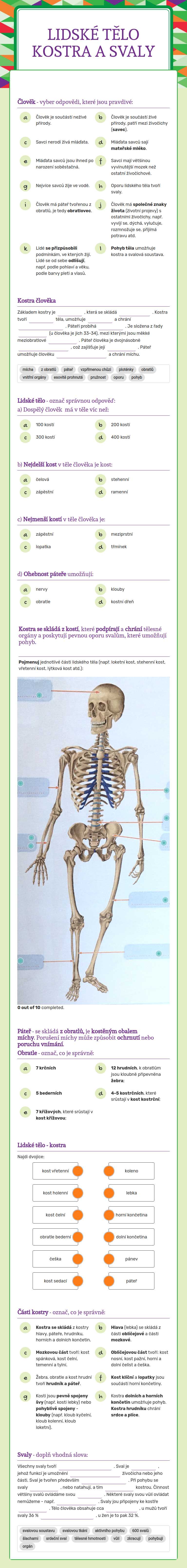 Lidské tělo Kostra a svaly worksheet preview image