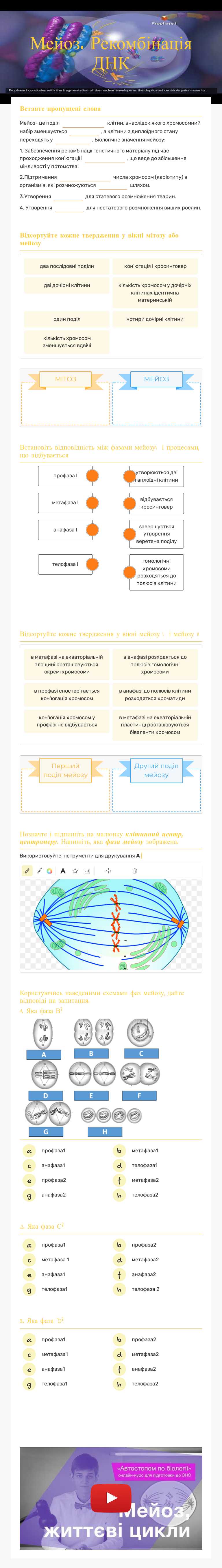 Мейоз. Рекомбінація ДНК Grade 9 worksheet preview