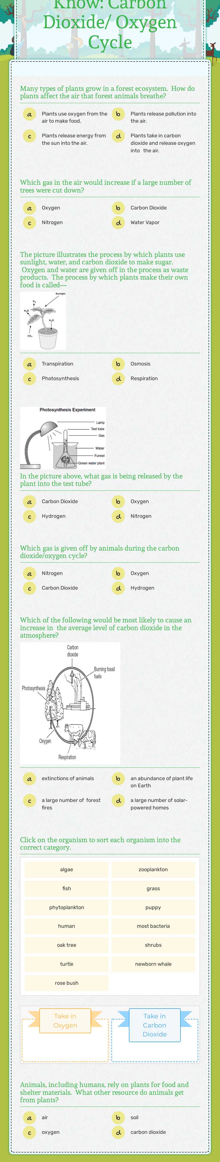 Let's See What You Know: Carbon Dioxide/ Oxygen Cycle worksheet preview image
