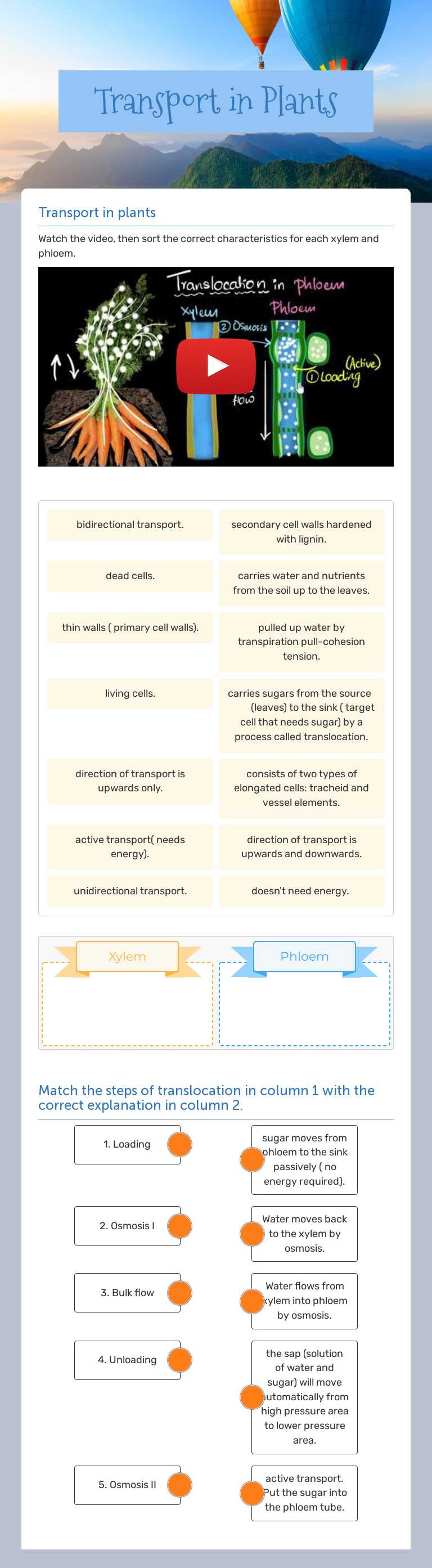 Transport in Plants worksheet preview image
