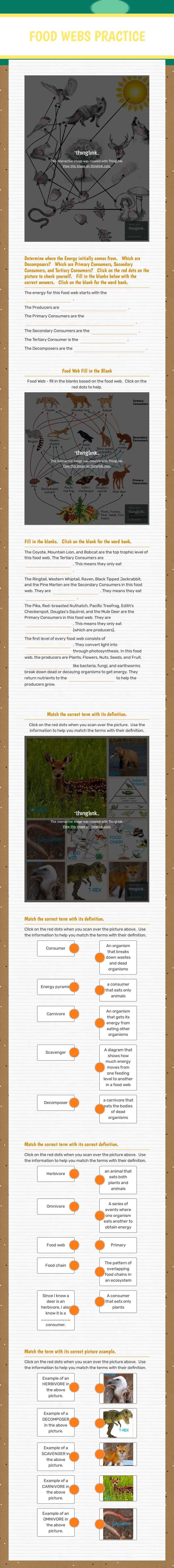 FOOD WEBS
PRACTICE worksheet preview image