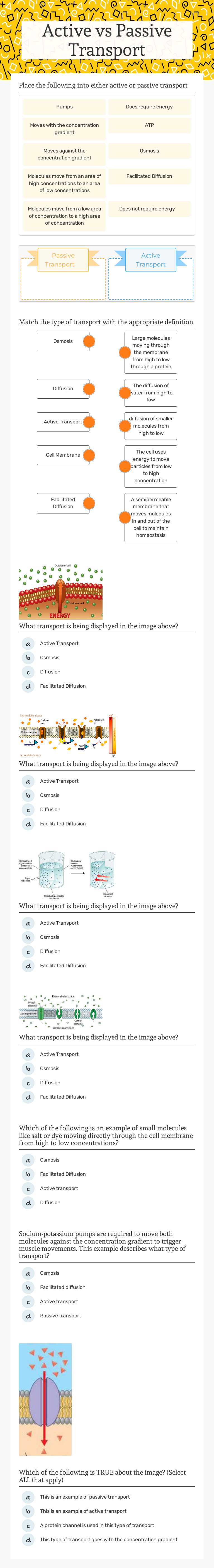 Active vs Passive Transport worksheet preview image