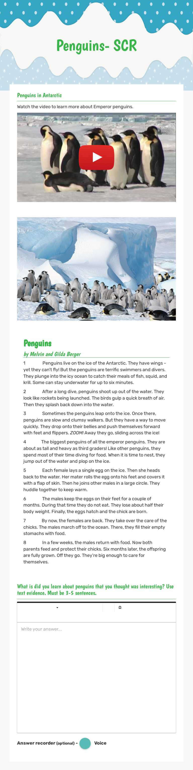 Penguins- SCR Grade 3 worksheet preview