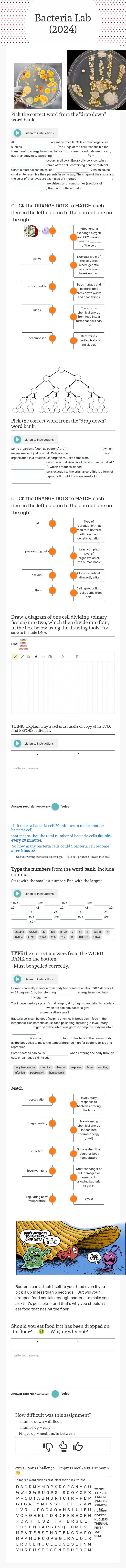 Bacteria Lab (2024) worksheet preview image