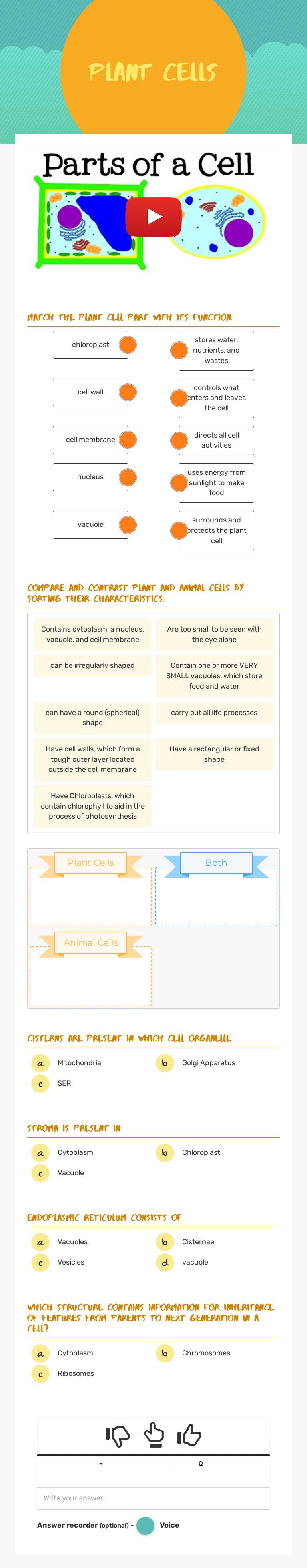 Plant Cells worksheet preview image