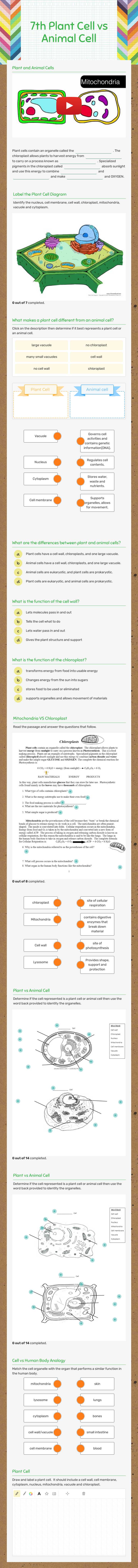 7th Plant Cell vs Animal Cell worksheet preview image
