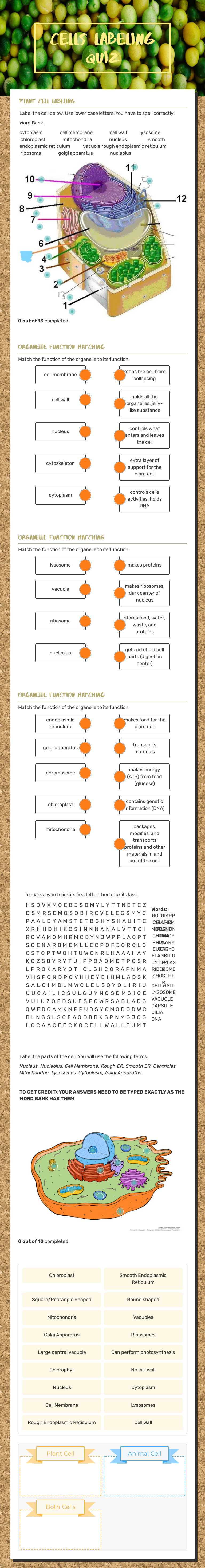 Cells Labeling Quiz worksheet preview image